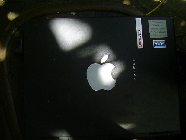 11_dscf0597